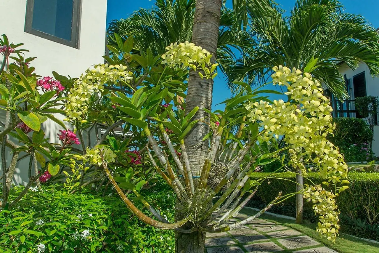 Luxury Villa Sleeps 6, Beach Access, Montego Bay